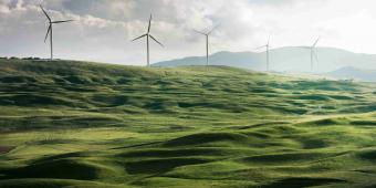 Photo of wind turbines at the edge of a green field